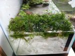 20160530_173330.jpg