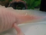 20160605_081112.jpg