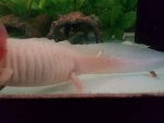 20160605_081108.jpg