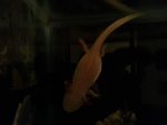 20160708_003522.jpg