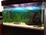 20160715_155249.jpg