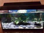 20160715_155234.jpg