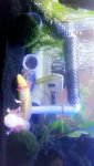 13702344_10208845404044976_1148690867_o.jpg