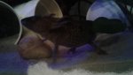 20160725_200524.jpg