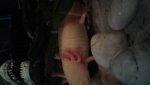 20160729_154313.jpg