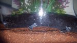 20160805_113435.jpg