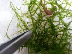 20160809_123942.jpg