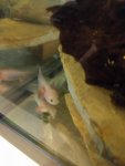 IMG_20160821_143834.jpg