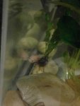 IMG_20160821_195015.jpg