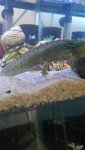 20160902_235809.jpg