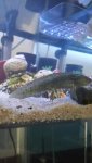 20160902_235842.jpg