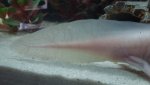 20160904_130102.jpg