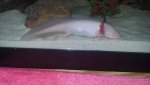 20160905_120841.jpg