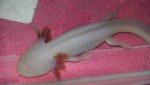 20160906_221805.jpg