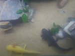 20160905_000115.jpg