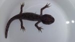 20160916_095951.jpg