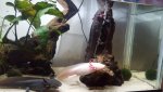 20160719_004357.jpg