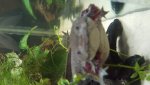 20160717_011005.jpg
