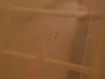 20160924_104146.jpg