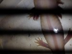 photo (1).jpg