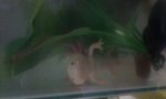 20160926_064229.jpg