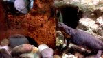 VID-20161004-WA0015.mp4_000000544.jpg