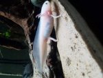 20160923_135741.jpg