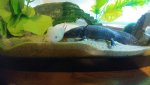 20161009_181919_resized.jpg