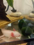 IMG_20161021_110126.jpg