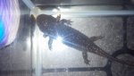 20161025_205246.jpg