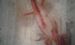 20161031_001904.jpg