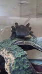 CAM01440.jpg