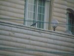 DSC02083.jpg
