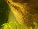 20161118_123620.jpg