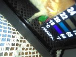 IMG_20161121_164124.jpg