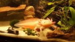20161123_193928.jpg