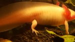 20161124_203031.jpg