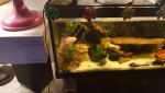 20161201_204848.jpg