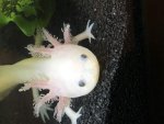 IMG_1951.jpg