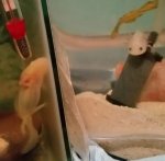 2017-01-25 01.41.10.jpg