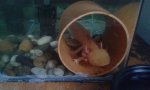 20170127_150624.jpg