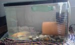 20170130_135705.jpg