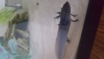 20170304_092225.jpg