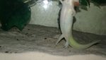 20170309_170706.jpg