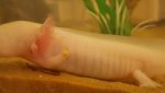 20170323_180926.jpg