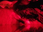 20170316_085132.jpg