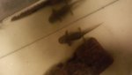20170329_222309.jpg