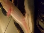 20170404_212307.jpg
