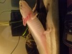 20170404_212302.jpg