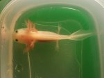 20170406_222308.jpg